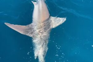 Scuba Ethan’s Outdoor Adventures