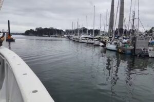 Sea Goddess Whale Watching