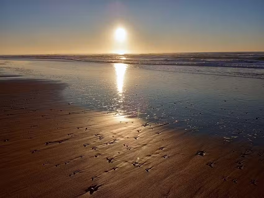 Sea Gypsy Rentals LLC