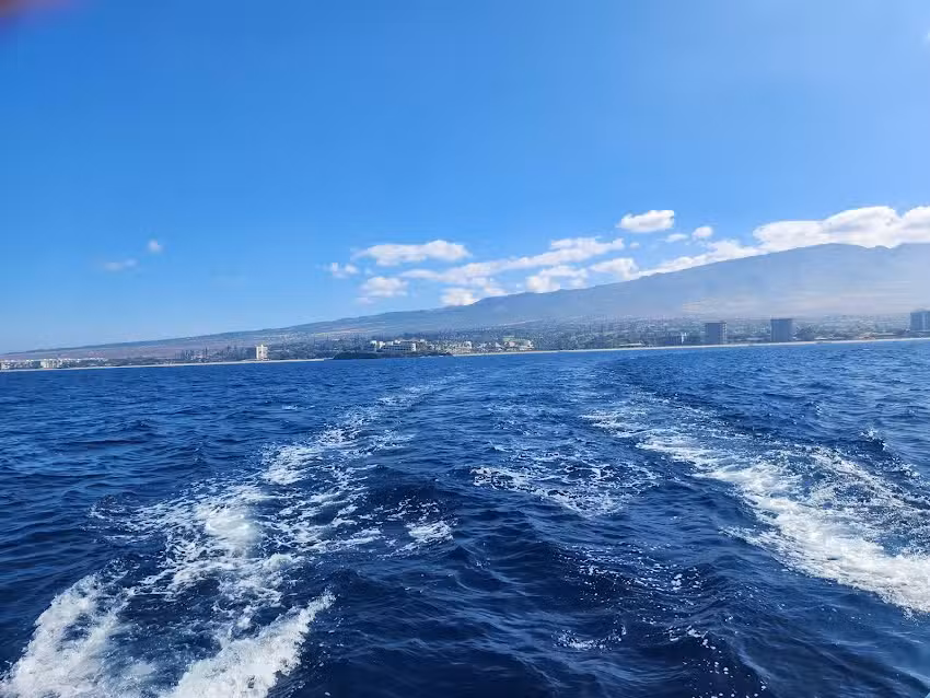 Sea Maui