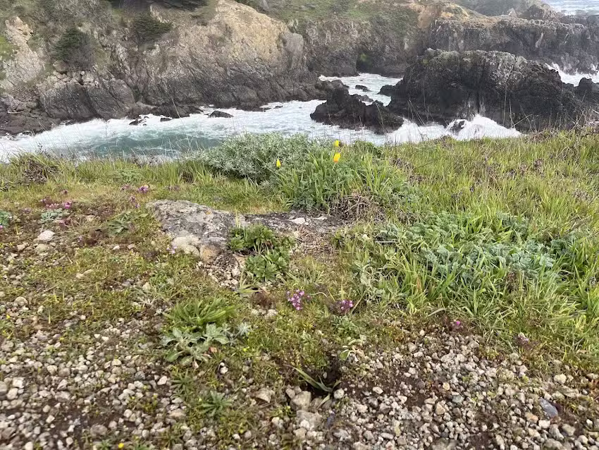 Sea Ranch Beach Rentals
