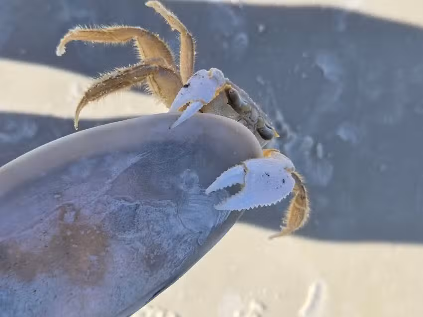 Sea&rsquo;s the Adventure Tours