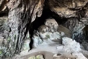 Sea Turtle Tour Hawaii