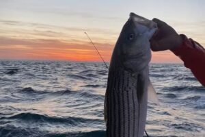 Seabilly Fishing Charters