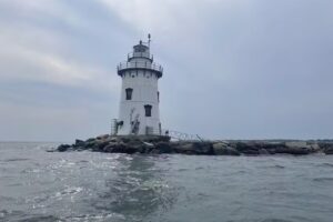 Seabird Cruises and Tours LLC