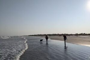 Seabrook island