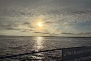 SeaEscape Charters, LLC