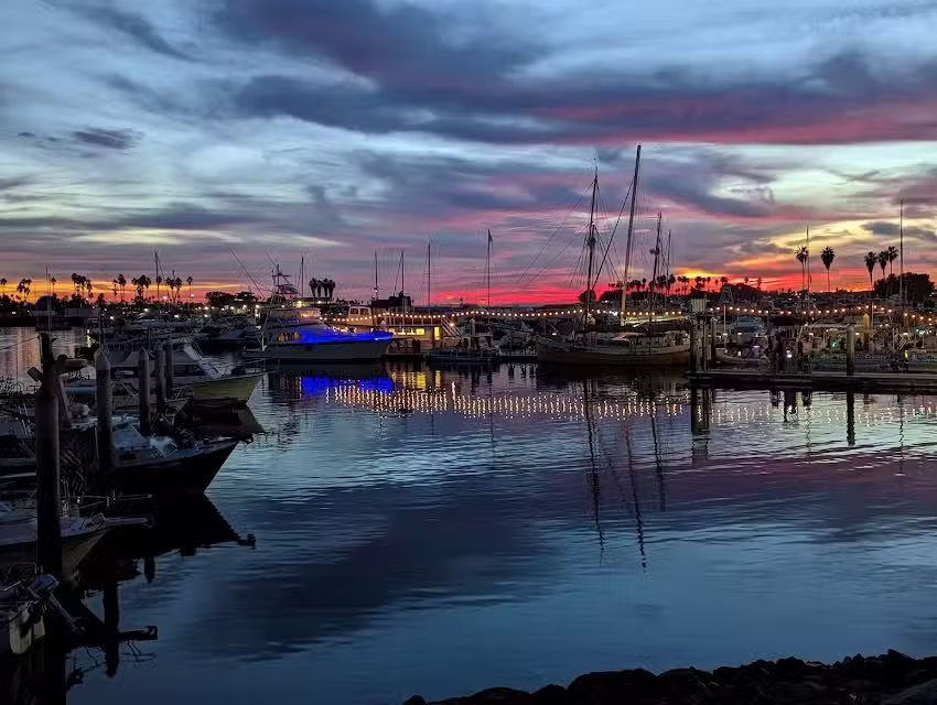 Seaforth Tours (Mission Bay)