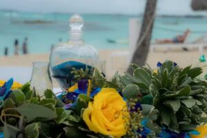 SeaNationTravel-Dream Vacations