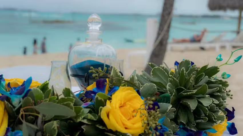 SeaNationTravel-Dream Vacations