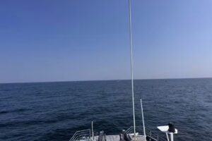 Seastreak Whale Watch