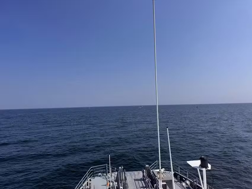 Seastreak Whale Watch