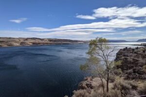 Seattle and WA Tours