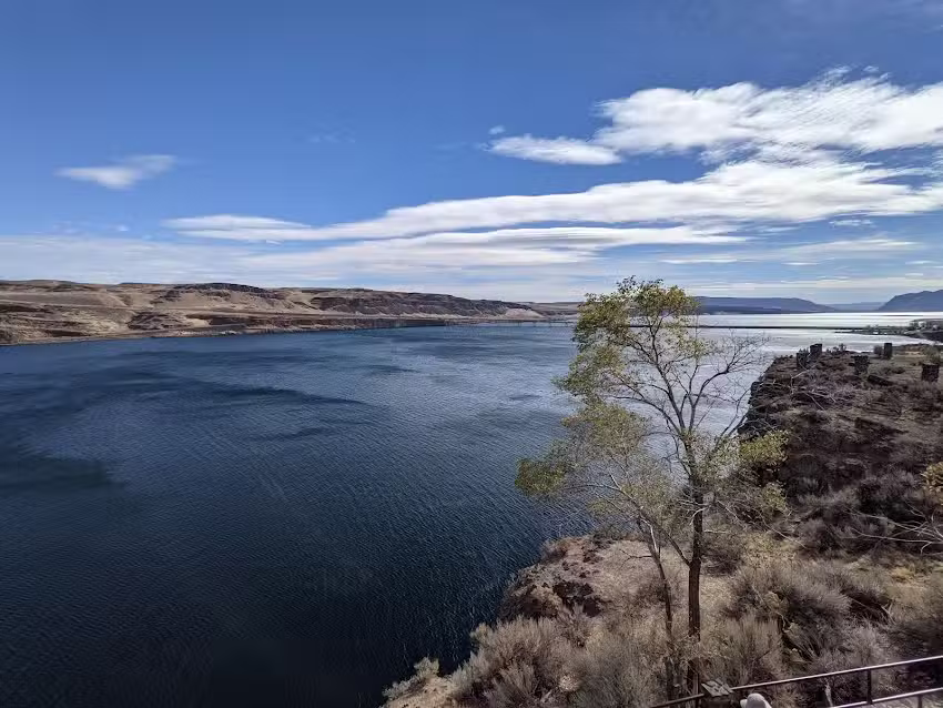 Seattle and WA Tours