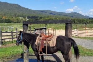 Secret Passage Ranch