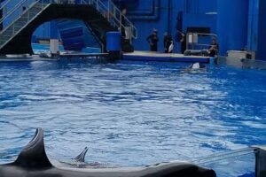 See the Sights Travel