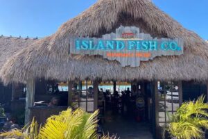 See World Travel Inc