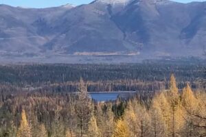 Seeley Lake Historical Museum and Visitor Center