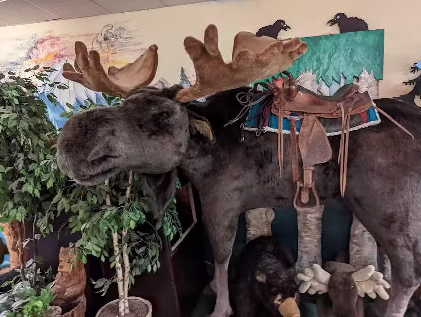 Segway Tours of Anchorage