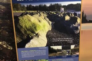 Seldovia Visitor Center & Museum