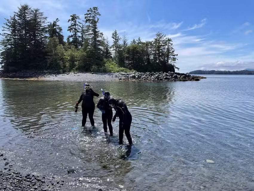 Selkie Snorkels &ndash; Sitka