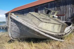 Semiahmoo Whale Watching by Outer Island Expeditions