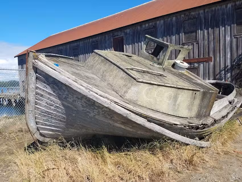 Semiahmoo Whale Watching by Outer Island Expeditions