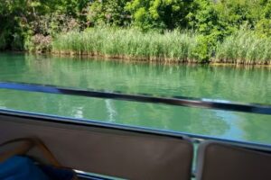 Seneca Lake Reel Tours