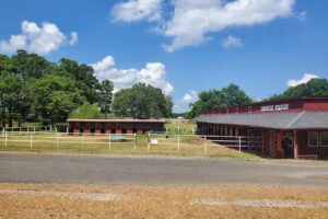 Sequoyah Riding Stables