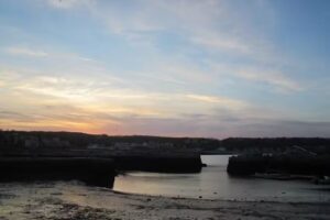 Serendipity Traveler