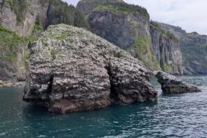 Seward Alaska Whale Watching