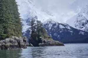 Seward Ocean Excursions