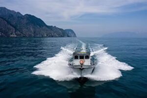 Seward Shoreline Tours