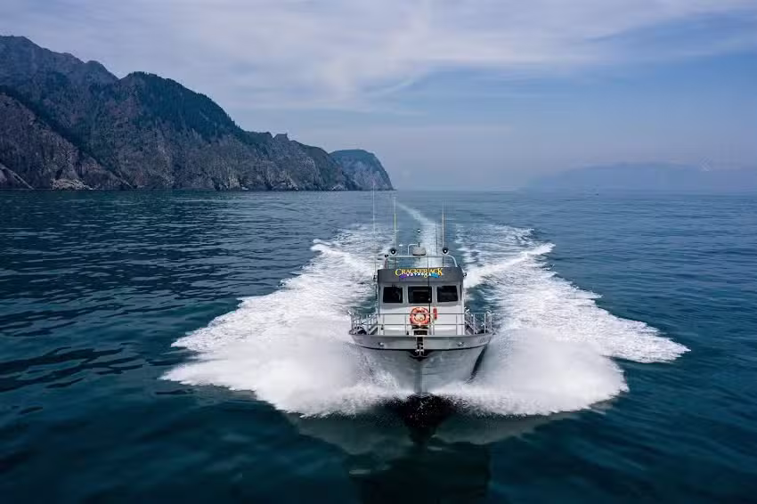 Seward Shoreline Tours