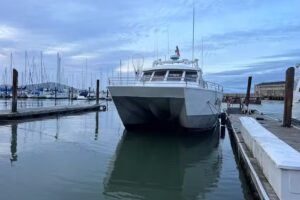 SF Bay Whale Watching