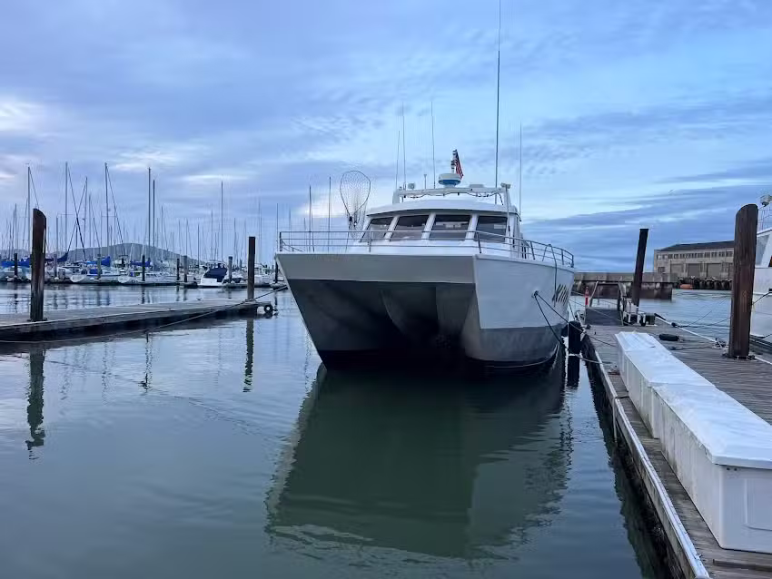 SF Bay Whale Watching