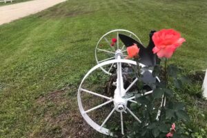 Shalizar’s Retreat LLC