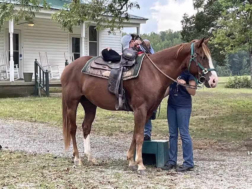 Shangrila Guest Ranch