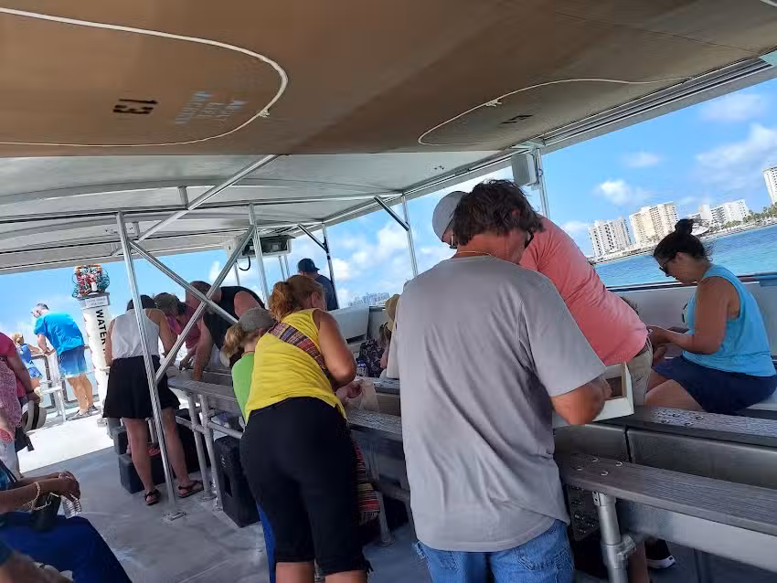 Shark Teeth and Shells