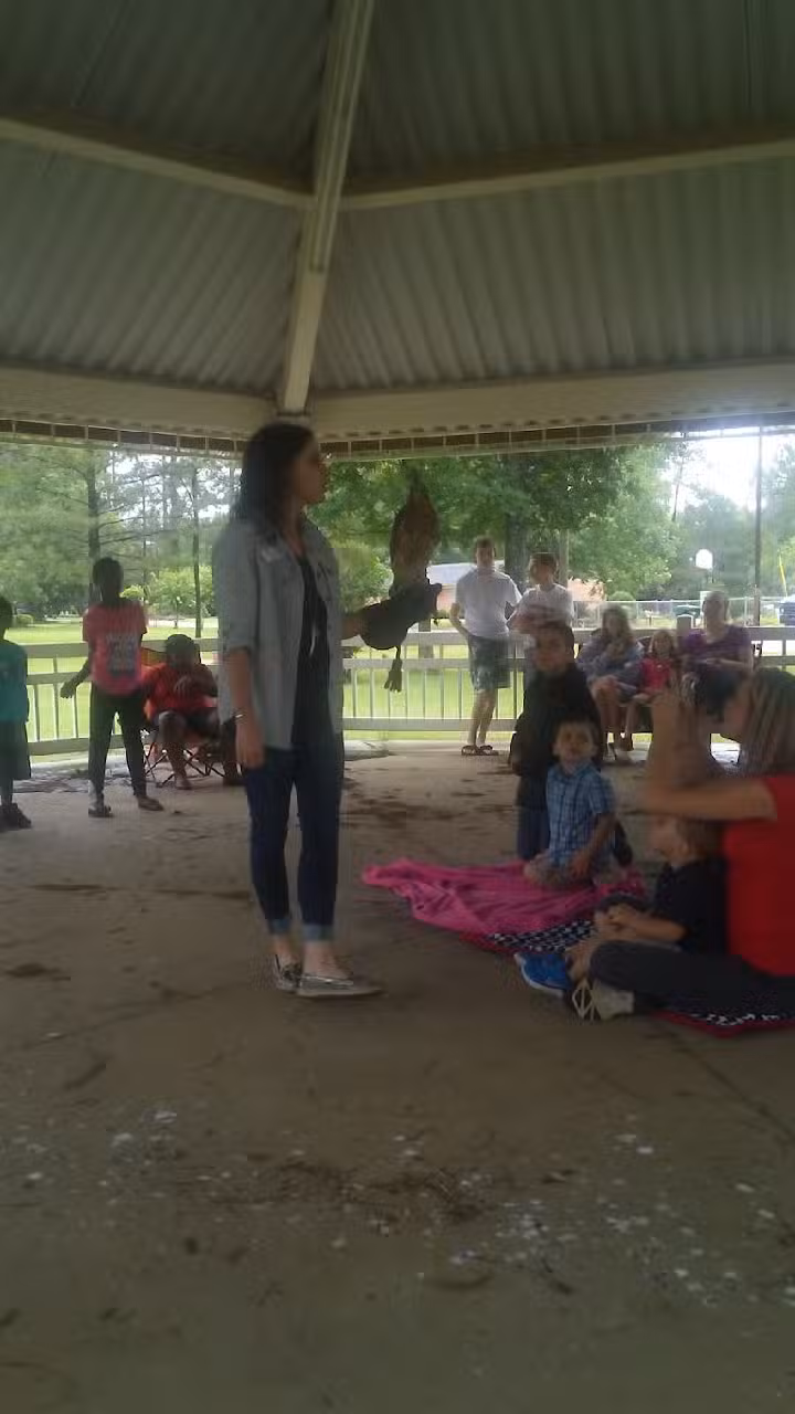 Sharon&rsquo;s Travel