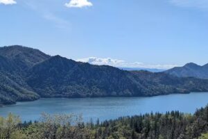 Shasta Lake Properties
