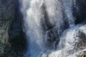 Shaver Wood Forest LLC – Cabin For Rent Shaver Lake Ca