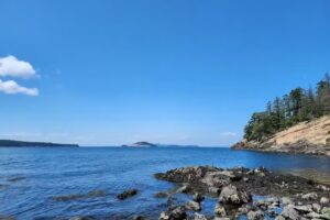 Shearwater Kayak Tours