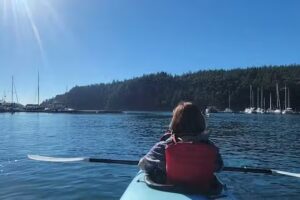 Shearwater Kayak Tours at Deer Harbor