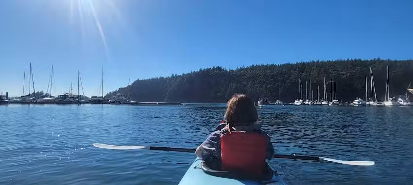 Shearwater Kayak Tours at Deer Harbor