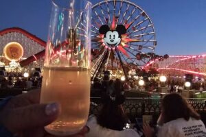 Sheena Mutchler- Travel Professional with Middle of the Magic Travel