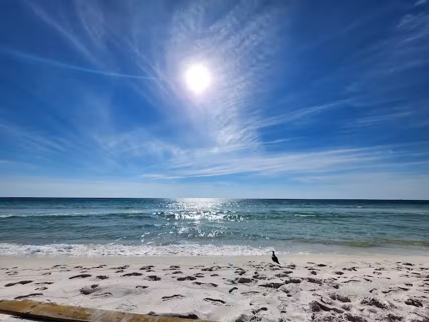 Shell Island Cruises