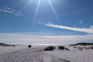 Shell Island Shuttle