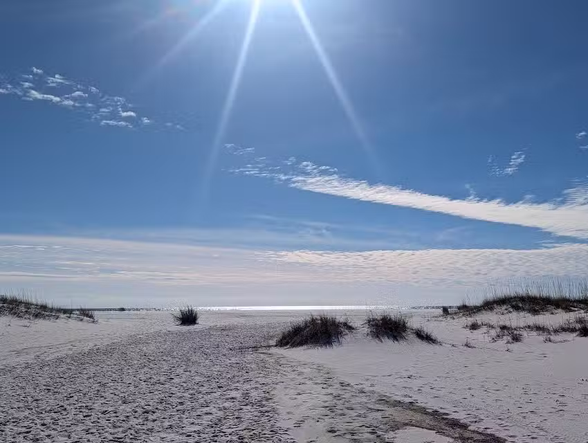 Shell Island Shuttle