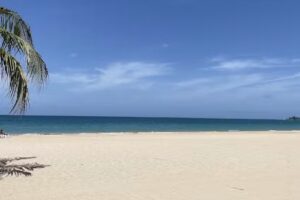 Shelly Herter: An Affiliate of Academy Travel